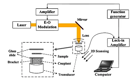 Schematic diagram of the experimental setup of the PA viscoelastic imaging system Schematic diagram of the experimental setup of the PA viscoelastic imaging system