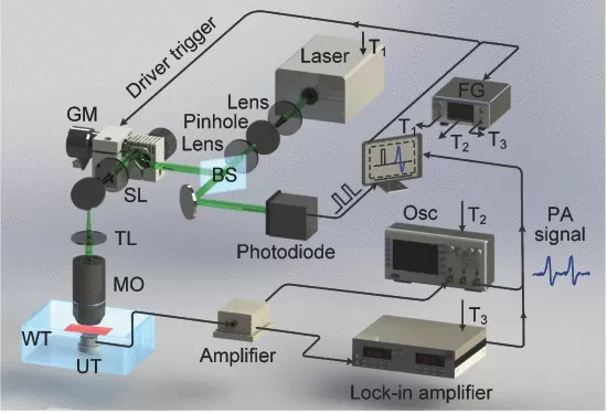 Application of Lock-in Amplifier OE2031 in Cell Microrheology Application of Lock-in Amplifier OE2031 in Cell Microrheology