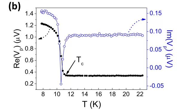 OE1022 Applied to Scanning Tunneling Microscopy Measurements in Superconducting Thin Films OE1022 Applied to Scanning Tunneling Microscopy Measurements in Superconducting Thin Films
