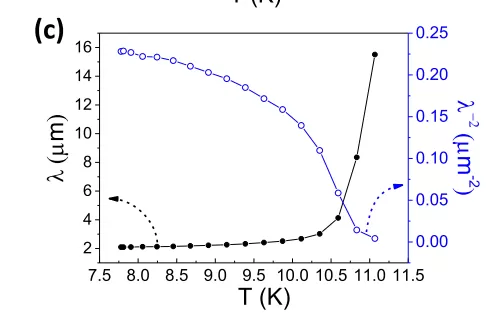 OE1022 Applied to Scanning Tunneling Microscopy Measurements in Superconducting Thin Films OE1022 Applied to Scanning Tunneling Microscopy Measurements in Superconducting Thin Films