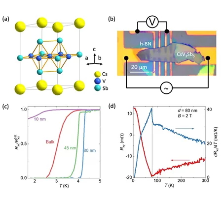 OE1022 Use To Non-Reciprocal Charge Transport In The Topological Kagome Superconductor CsV3Sb5